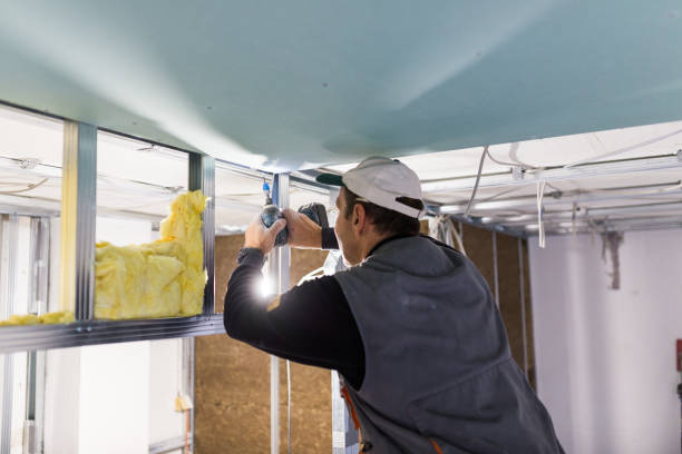 Best Professional Insulation Contractor  in Friona, TX