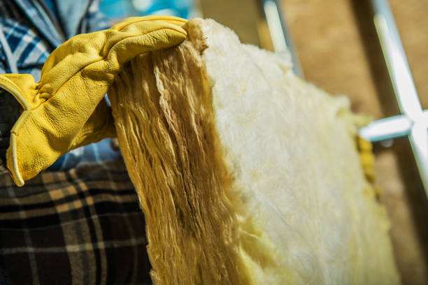 Best Insulation Removal  in Friona, TX