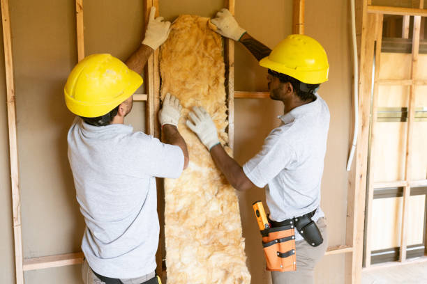 Best Home Insulation Services  in Friona, TX