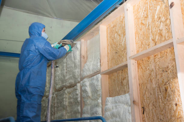 Best Commercial Insulation Contractor  in Friona, TX