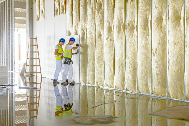 Best Insulation Contractors for Homes  in Friona, TX